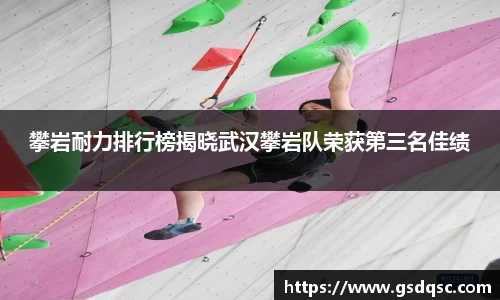 攀岩耐力排行榜揭晓武汉攀岩队荣获第三名佳绩